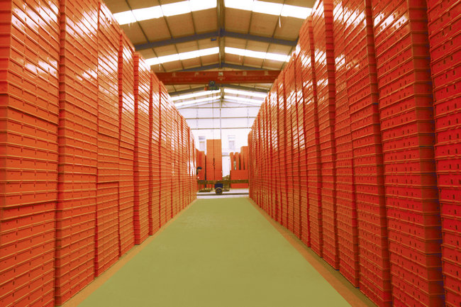 顏祥模板倉(cāng)庫